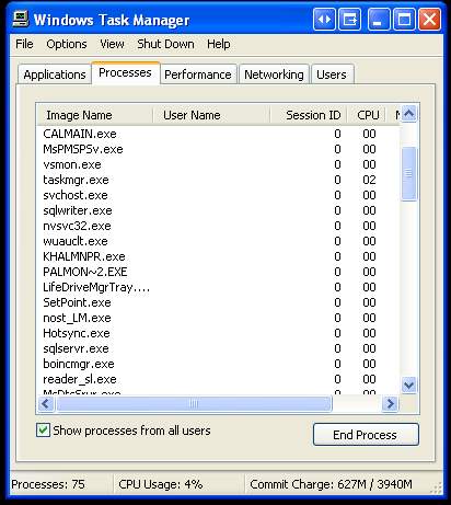 Processes in Task Manager without a username